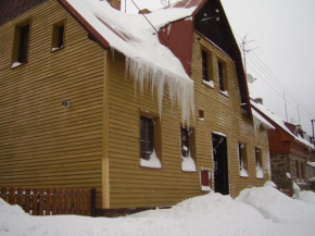 Holiday Home in Bohemia near Ski Area and Forests